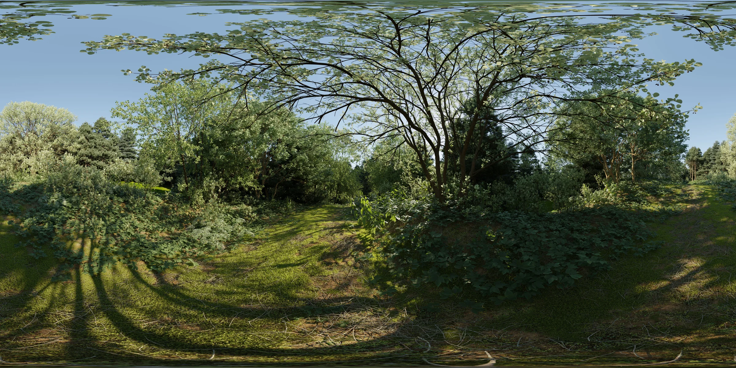 360-asthmalehrpfad